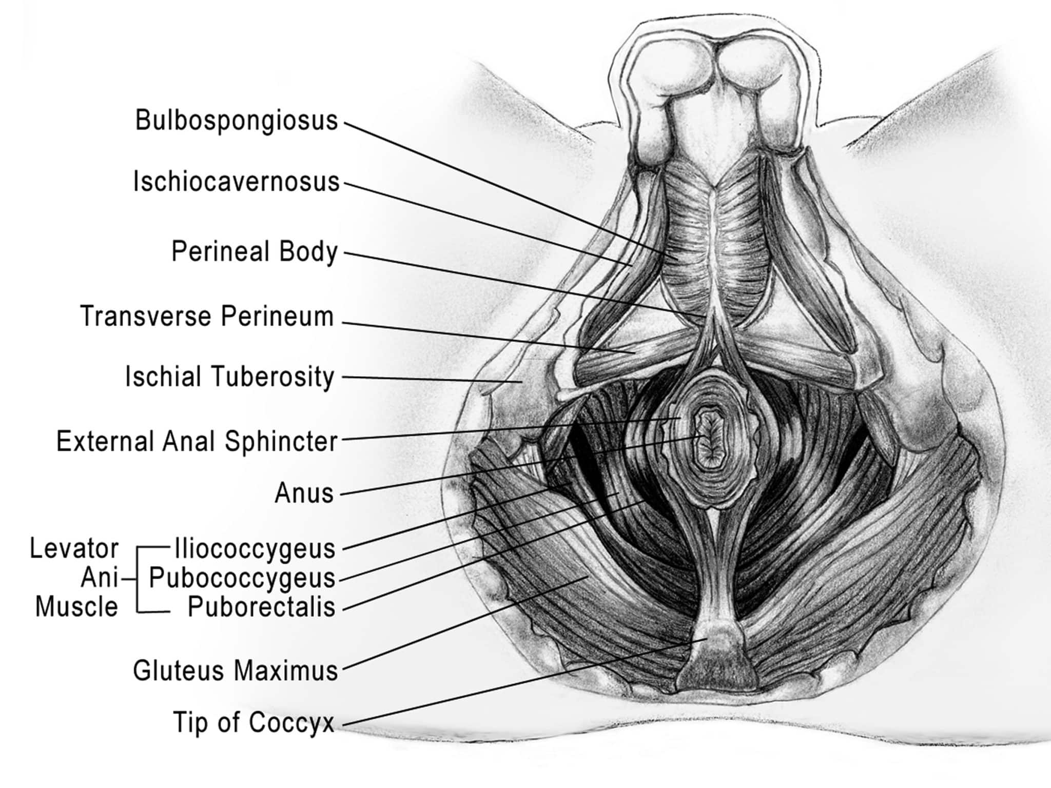 neuralgia prostatitis