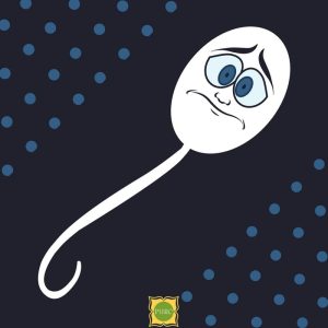 Male Contraception