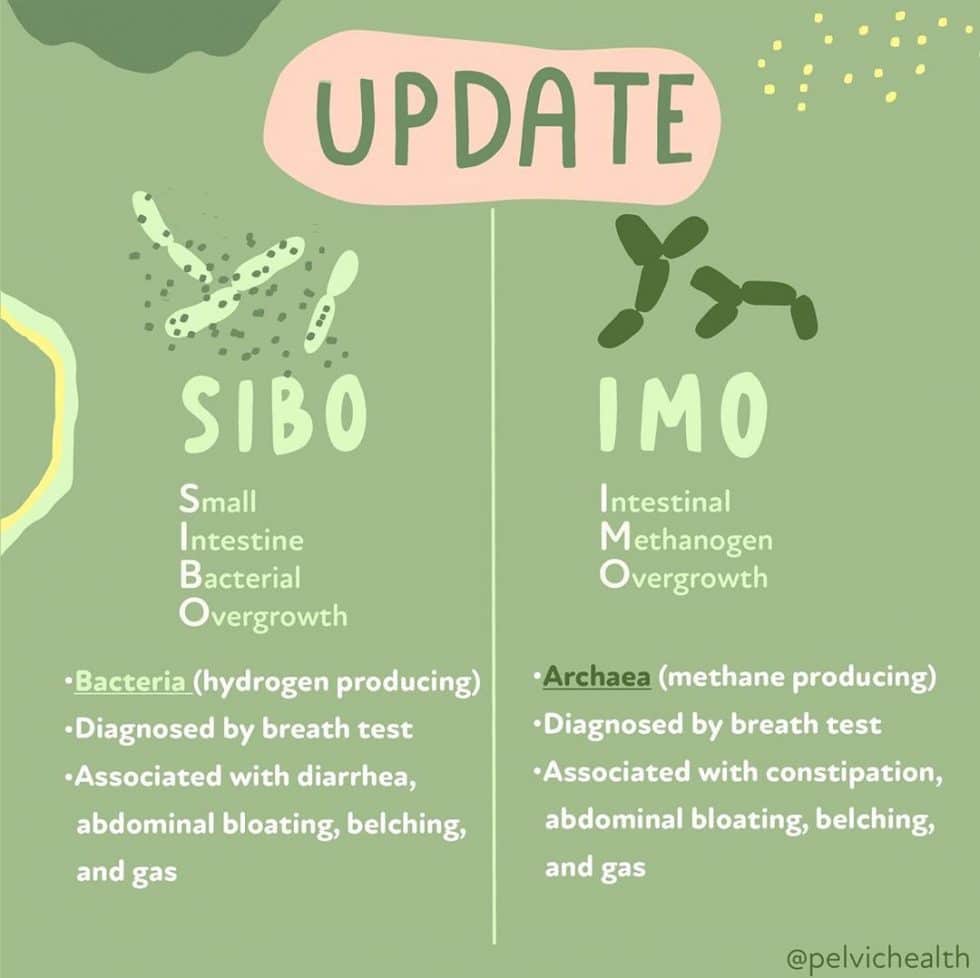 SIBO update