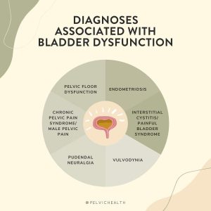 dx w/ bladder dysfunction
