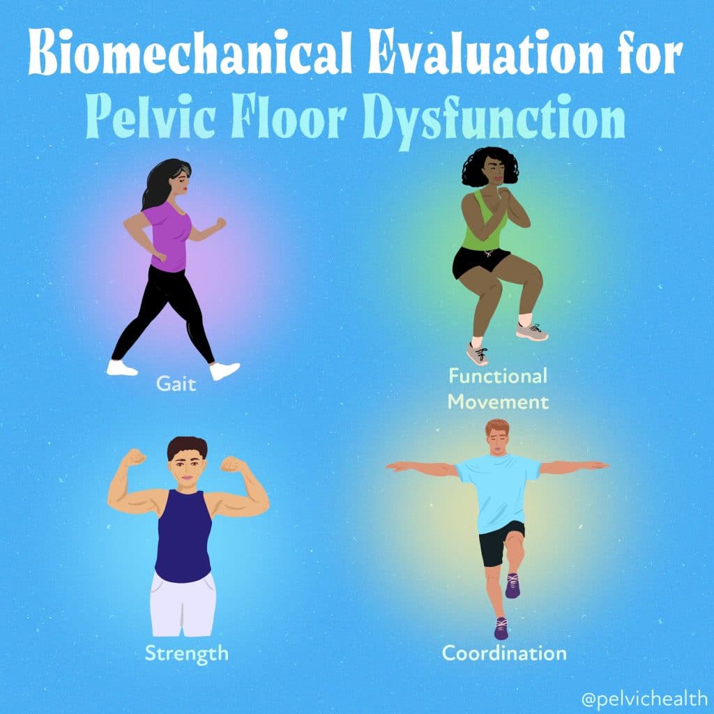 Biomechanical Eval for PFD