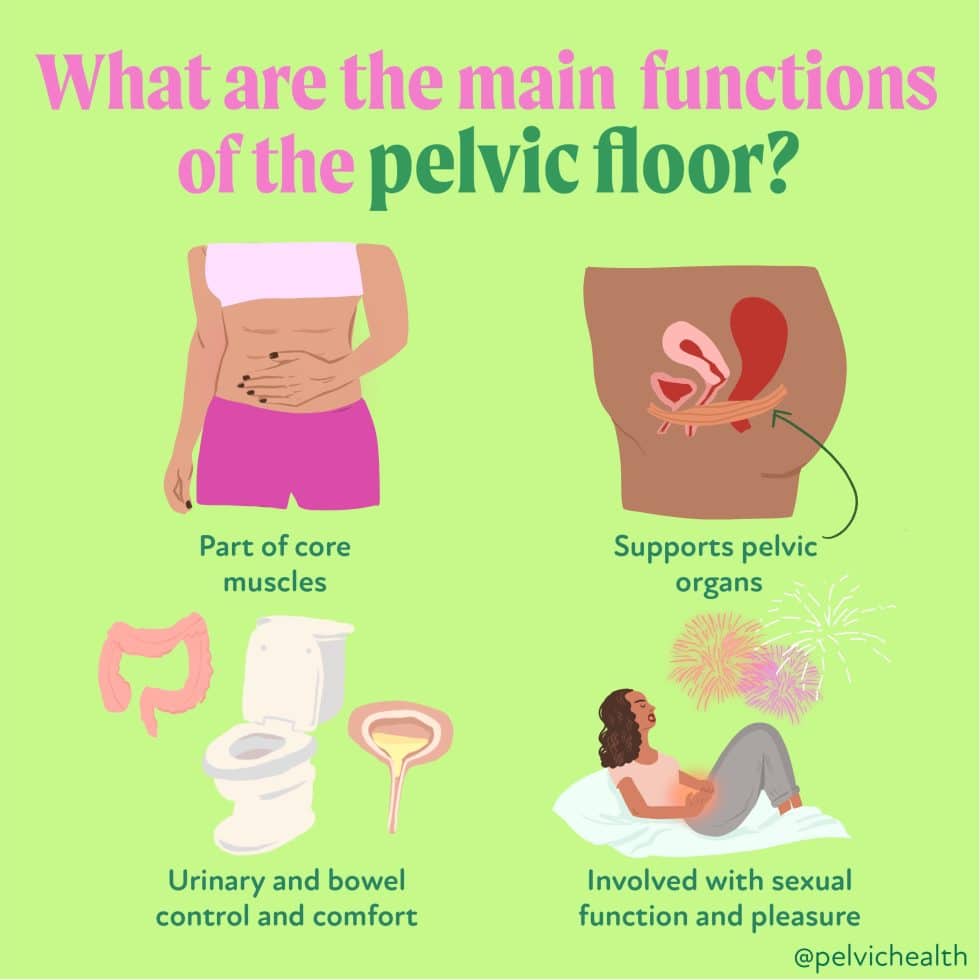 main functions of the pf