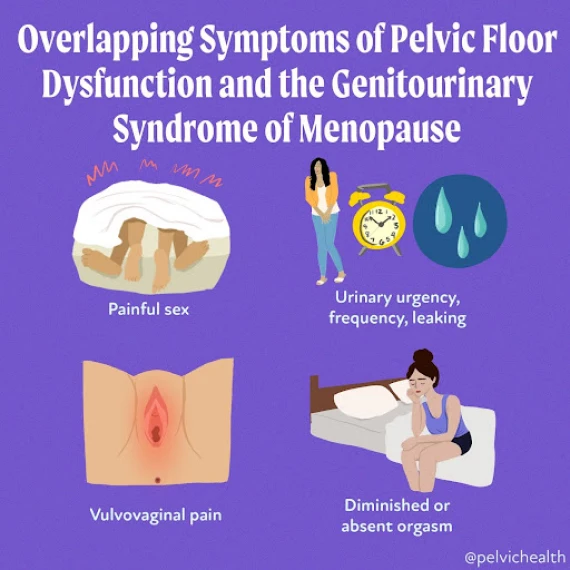 Causes of Menopausal Sexual Dysfunction 