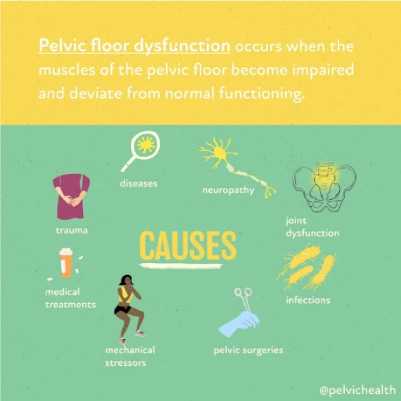 Causes of Urinary Bladder Dysfunction