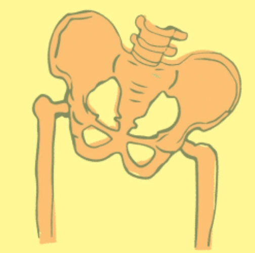 pelvic pain