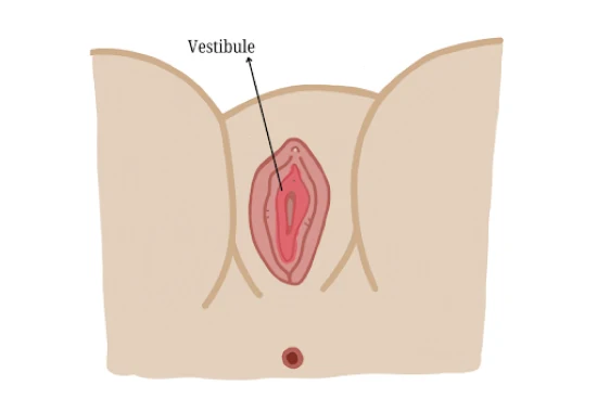 Urinary Issues