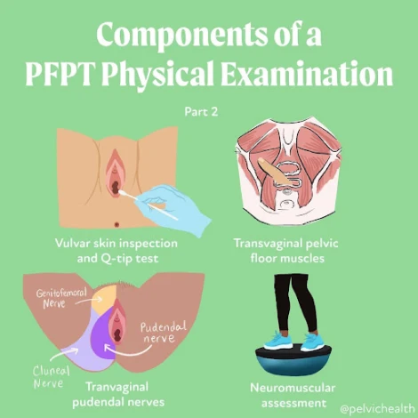 components of pfpt physical examination