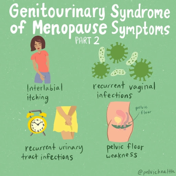 genitourinary syndrome