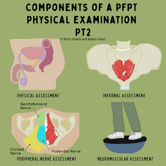 PFPT physical examination for male