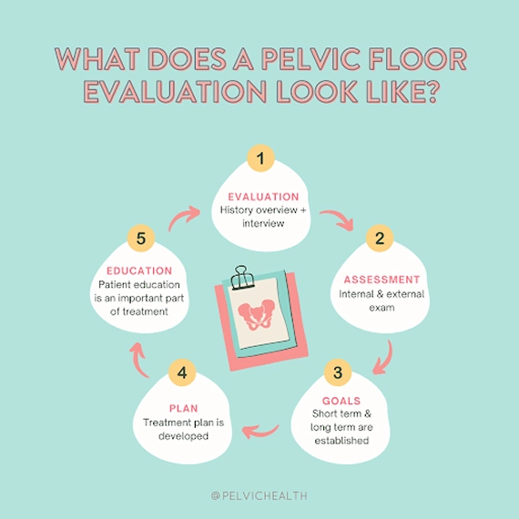 Pelvic floor evaluation