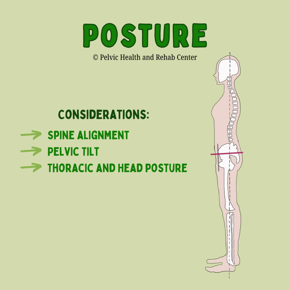 Posture and the Pelvic Floor: Why Your Posture Matters!