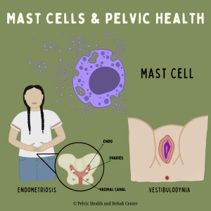 Mast Cells & Pelvic Health