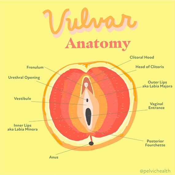What are the Symptoms of Female Pelvic Pain