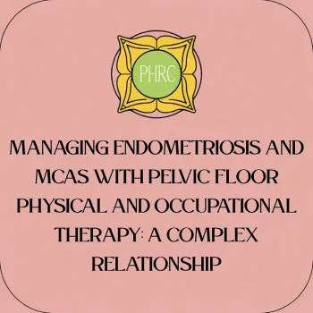 MCAS Blog Banner MCAS Blog Banner