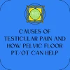 PHRC Blog Banner