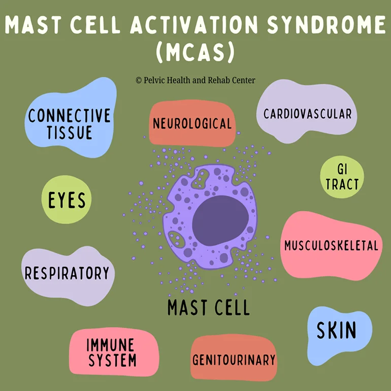 Mast Cell Activation Syndrome