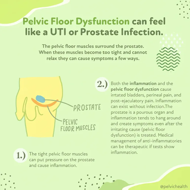 Pelvic-Floor-Dysfuntion-blog-png